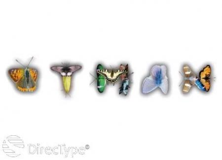 otman